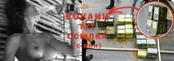 мдпв Горняк