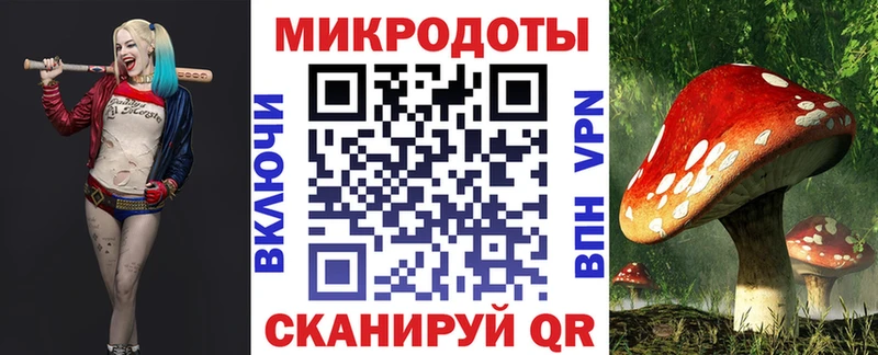 Галлюциногенные грибы Cubensis  Жигулёвск 